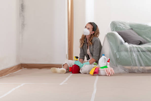 Reliable Mold Inspection And Testing contractor in Omena, MI by Car Mold Remediation